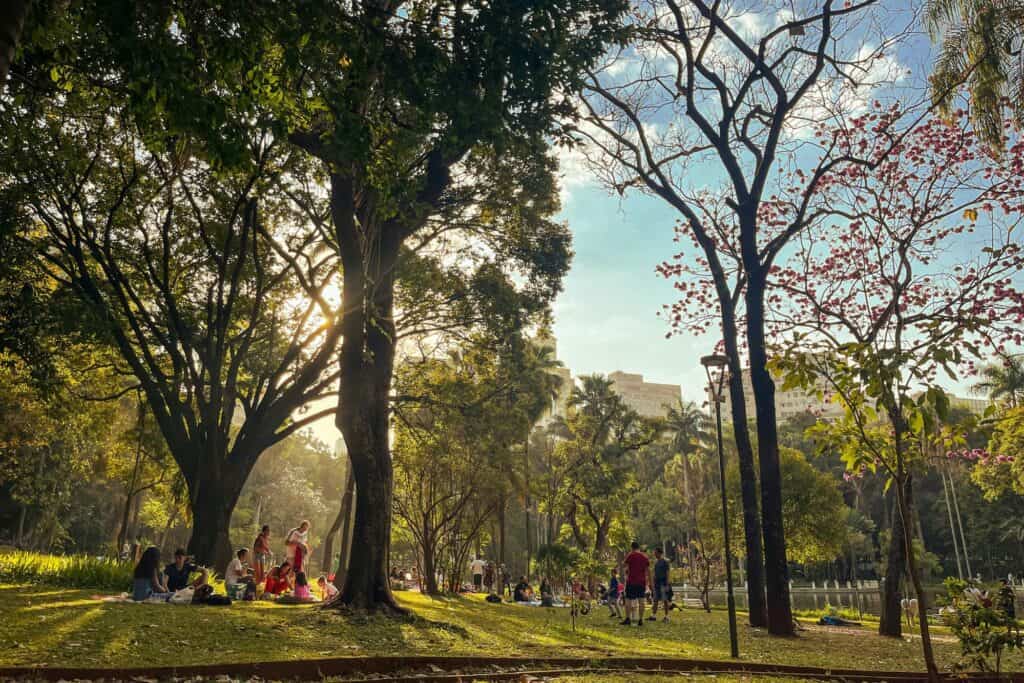 People having a picnic in a park on a sunny morning