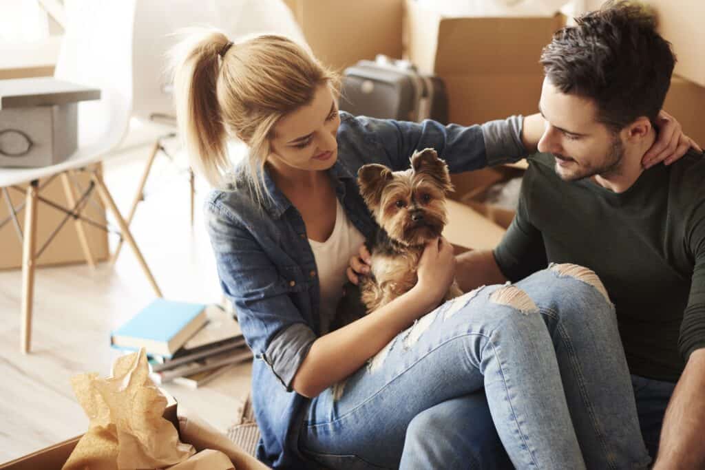 A couple playing with their pet while taking a break from unpacking